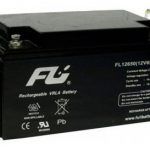 bateria-sellada-fulibattery-12v-65ah-ref-fl12650gs-D_NQ_NP_827022-MCO41623793650_052020-O